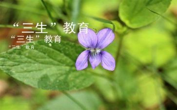 高三生物教学工作总结优质7篇