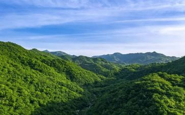 爬山墙的安妮读后感优质7篇