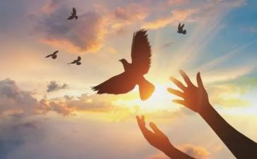 勤学上进事迹7篇