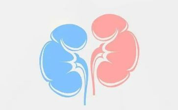 肾内科专业技术工作总结6篇