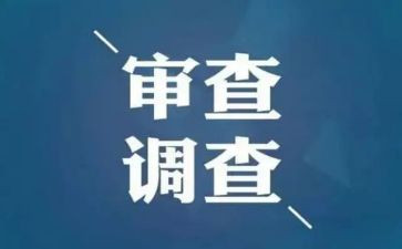 审查调查的心得5篇