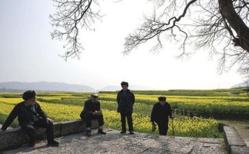 生活节活动总结7篇