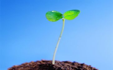 关于生命作文600字优质5篇