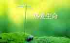 生命的读后感优秀7篇
