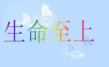 生命至上作文通用6篇