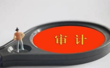 在审计局实习的实习报告7篇