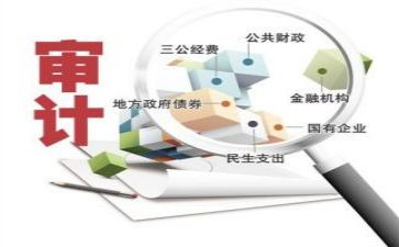 审计半年度总结优秀8篇