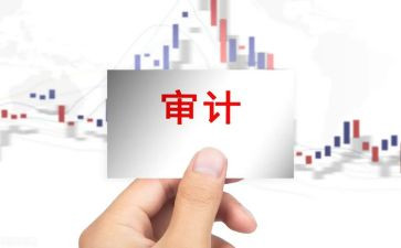 审计室年终总结5篇