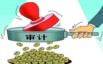 会计与审计实习报告总结7篇