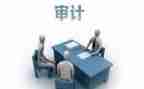 审计师述职报告7篇