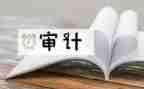 审计股个人述职报告范文8篇