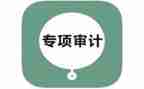 审计室年度工作总结报告5篇