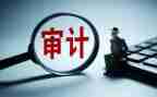被审计干部述职报告6篇