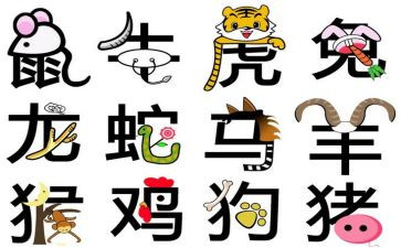 十二生肖教案模板6篇