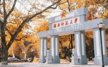 师范类毕业实习报告8篇