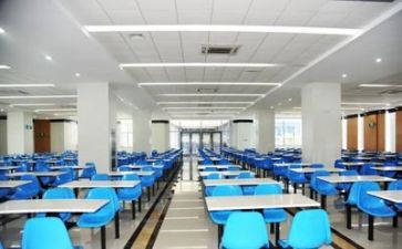 2024年食堂述职报告范文精选8篇