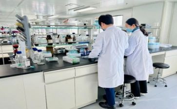 实验实验心得通用8篇