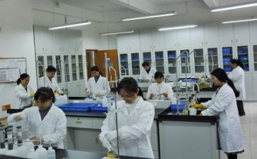 实验室半年度工作总结优秀8篇