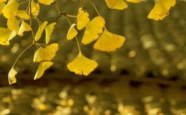 十月份工作计划5篇