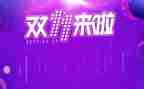 2024双十一活动方案5篇