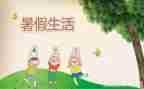 暑假实习报告总结8篇