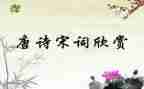 宋词的美作文6篇