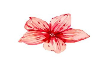 作文素材高考版2024200字通用8篇