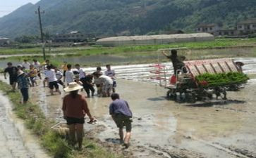 特岗教师个人培训总结8篇