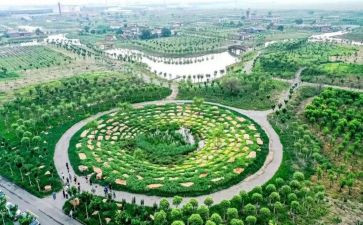 天津旅游心得体会5篇