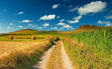 麦田里的守望者守望者读后感8篇