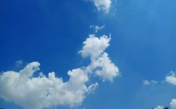 2.5天气预报教案5篇