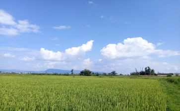 2.5天气预报教案参考7篇