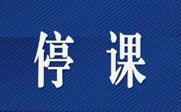 停课不停学教学总结8篇