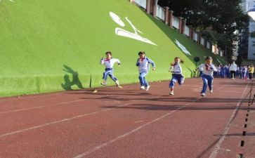 小学体艺术活动总结7篇