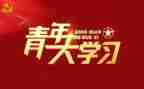 团青年活动总结最新8篇