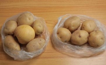 土豆的作文500字8篇