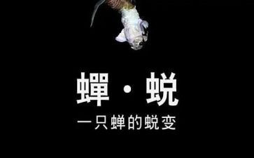 《蜕变》作文6篇