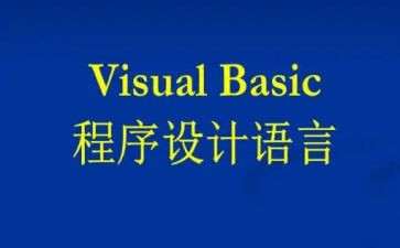 vbse实训心得体会8篇