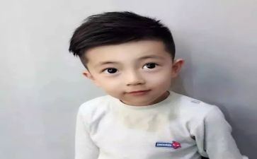 灰王子读后感优秀6篇