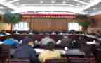 2023年居委会主任述职报告6篇
