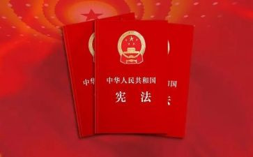 搜宪法小卫士心得体会7篇