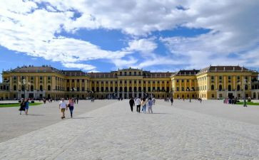 维也纳的森林读后感6篇