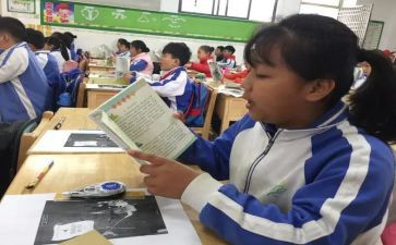 小学语文课教学反思8篇