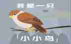 音乐活动小鸟飞教案6篇