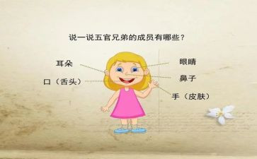 关于五官的作文8篇