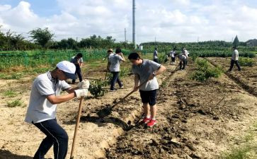 务农实践报告6篇