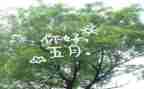 小小班五月工作总结8篇