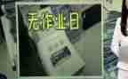 无作业日工作总结7篇