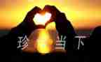 珍惜幸福的作文优秀6篇