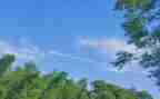 散文《夏》读后感参考8篇